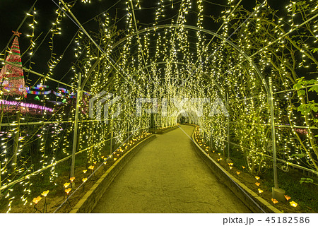 あしかがフラワーパーク　イルミネーション　きばな藤のトンネル 45182586