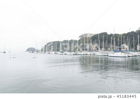 諸磯湾 諸磯湾 45183445