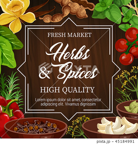 Food seasoning herbs and spices, vector condiments Food seasoning herbs and spices, vector condiments 45184991