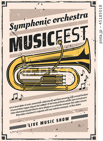 Symphonic orchestra at music fest, vintage poster Symphonic orchestra at music fest, vintage poster 45185018