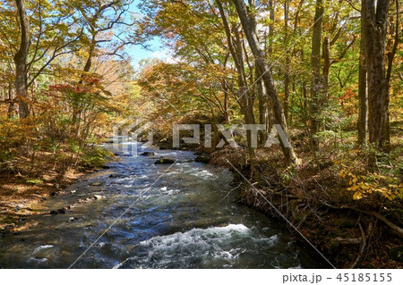 山梨県 鐘山の滝 紅葉の清流 山梨県 鐘山の滝 紅葉の清流 45185155