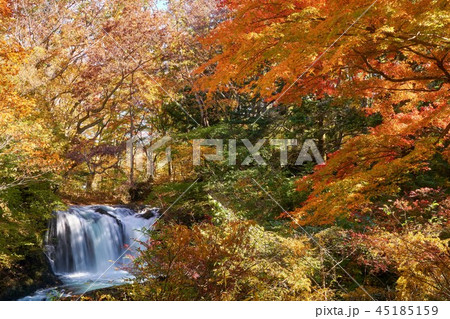 山梨県 鐘山の滝 紅葉の森 山梨県 鐘山の滝 紅葉の森 45185159