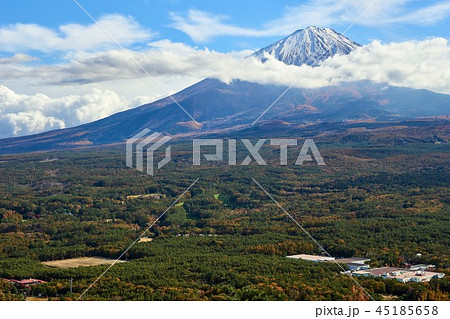 山梨県 富士山 樹海と富士山 もみじ台の風景 山梨県 富士山 樹海と富士山 もみじ台の風景 45185658