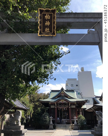 柏神社 柏神社 45186372