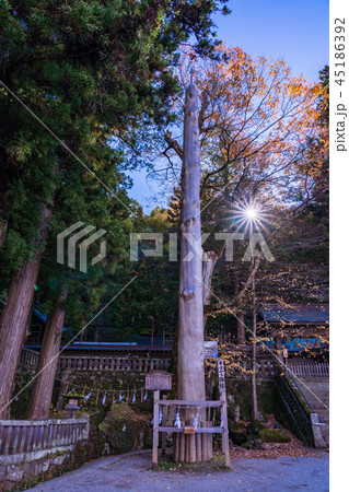 《長野県》諏訪大社　上社本宮境内　御柱 45186392