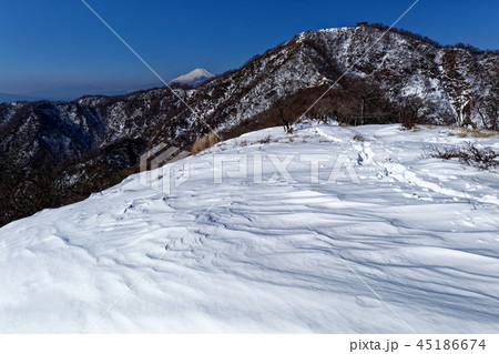 雪の丹沢表尾根から富士山と塔ノ岳の眺め 45186674
