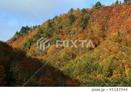 雪崩斜面の紅葉ー駒止トンネル　福島県南会津町 45187044