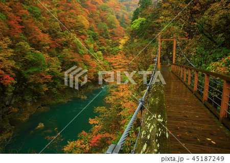 紅葉の抱返り渓谷 45187249