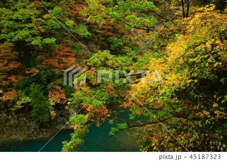 紅葉の抱返り渓谷 45187323