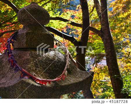板井原集落 向山神社の石灯籠 板井原集落 向山神社の石灯籠 45187728
