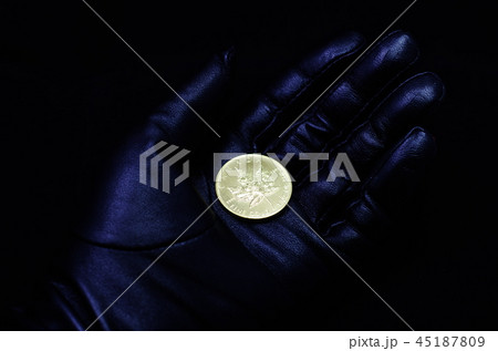 メイプルリーフ金貨 メイプルリーフ金貨 45187809