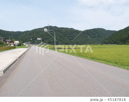 「一向一揆の里」付近の田園風景 「一向一揆の里」付近の田園風景 45187818