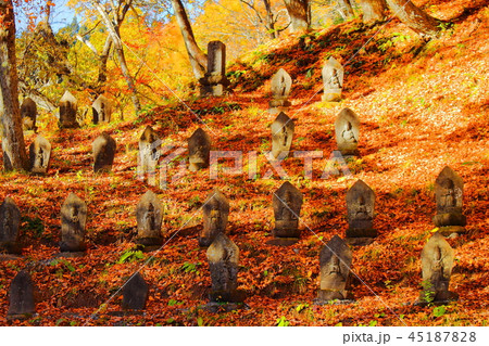 古来の石像 その20181106 : 紅葉の石像その20181106 古来の石像 その20181106 : 紅葉の石像その20181106 45187828