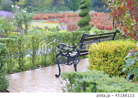 千葉県野田市　清水公園の秋 45188113