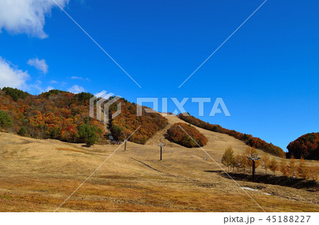 紅葉の恩原スキー場 紅葉の恩原スキー場 45188227