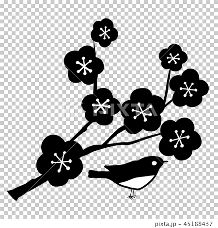 傳染媒介李子小鳥新年象 45188437