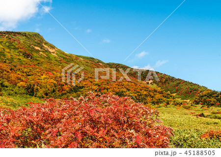 白山の紅葉 白山の紅葉 45188505