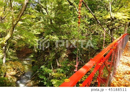 鹿教湯温泉散策道　紅葉橋から渓流の眺め　秋　　上田市 45188511