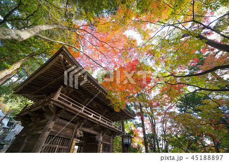 紅葉　大窪寺(四国八十八ヶ所霊場第88番札所) 45188897