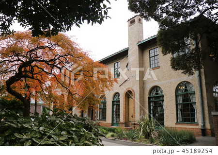 ベーリックホール 45189254