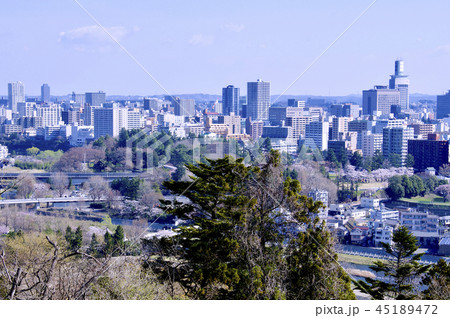 春、青葉城址公園から望む杜の都仙台仙台市街地 45189472