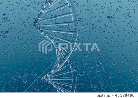 DNAイメージ DNAイメージ 45189490