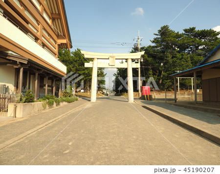宮地嶽神社　光の道　 45190207