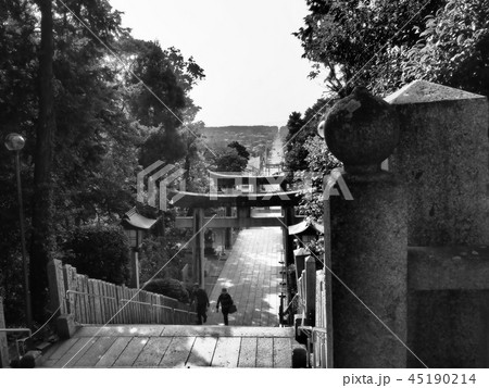 宮地嶽神社　光の道　 45190214