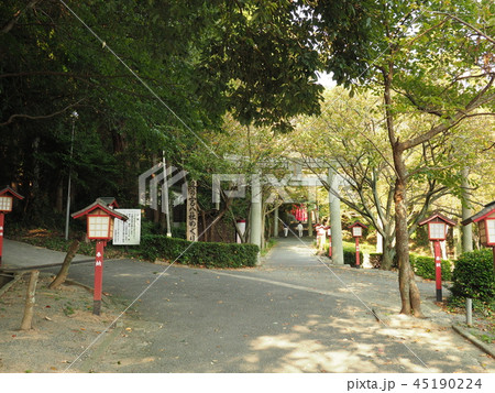 宮地嶽神社 45190224