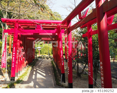 宮地嶽神社　赤鳥居 45190252