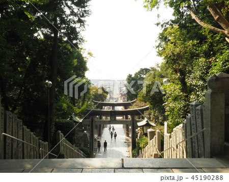宮地嶽神社　光の道　 45190288