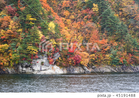 紅葉の奥只見湖 雨天の写真素材