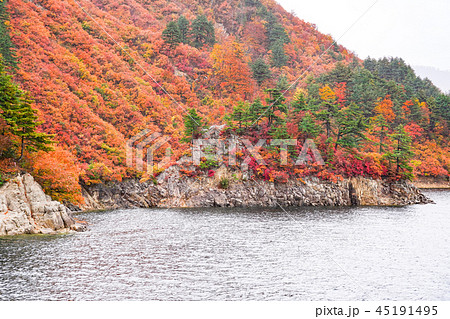 紅葉の奥只見湖　雨天 45191495