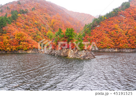 紅葉の奥只見湖 雨天の写真素材