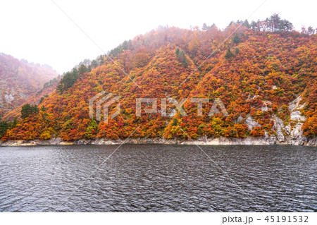 紅葉の奥只見湖　雨天 45191532