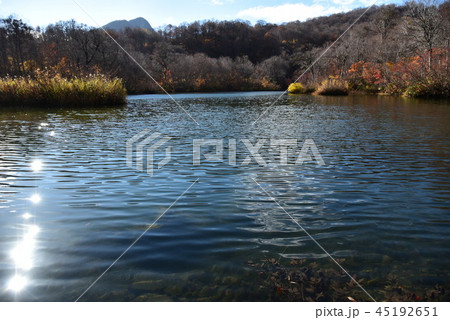 輝く水面と大渚山：長野県北アルプス山麓小谷村鎌池2018.11.1-160 45192651