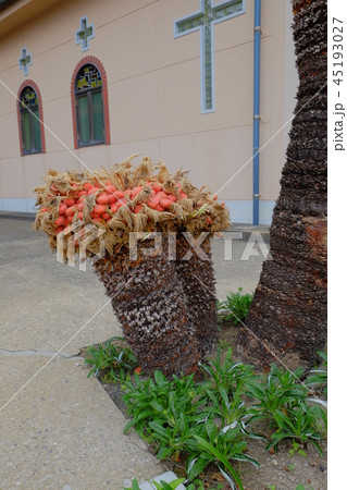 五輪・旧五輪教会2017外観その15 45193027