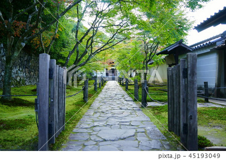 京都・酬恩庵一休寺参道ー１ 45193049
