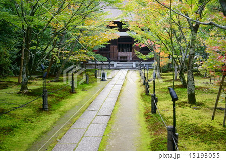 京都・酬恩庵一休寺参道ー７ 45193055
