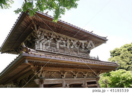 鎌倉 英勝寺 Kamakura Eisyoji temple 45193539