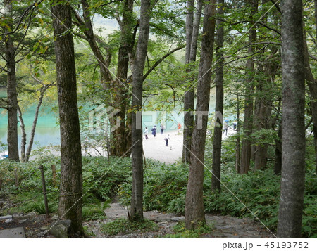 長野県　上高地　林の中の大正池（初秋） 45193752