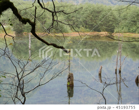 長野県　上高地　初秋の大正池と水面 45193755