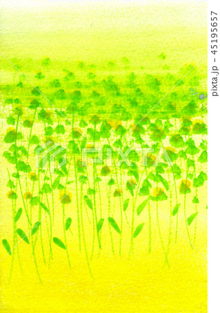 イエローグリーンイメージ イエローグリーンイメージ 45195657