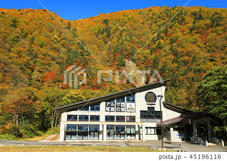 アルザ尾瀬の郷と裏山の紅葉 福島県桧枝岐村 アルザ尾瀬の郷と裏山の紅葉 福島県桧枝岐村 45196116