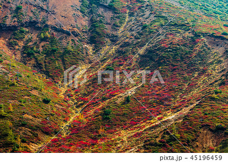山田峠の紅葉 山田峠の紅葉 45196459