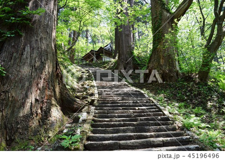 羽黒山の石段 2446段は神社で日本一 羽黒山の石段 2446段は神社で日本一 45196496