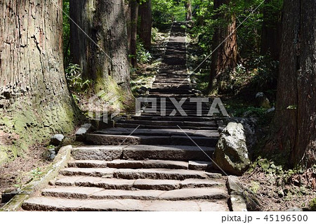 羽黒山の石段 2446段は神社で日本一 羽黒山の石段 2446段は神社で日本一 45196500