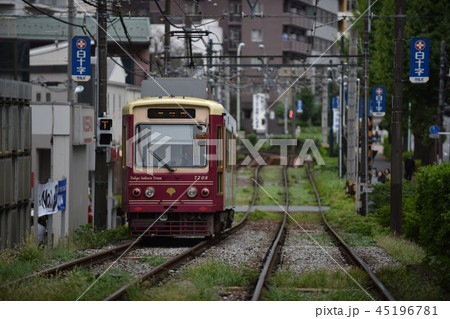 都電荒川線 7700形 都電荒川線 7700形 45196781