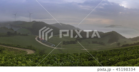 キムチ 白菜 雲海 45198334