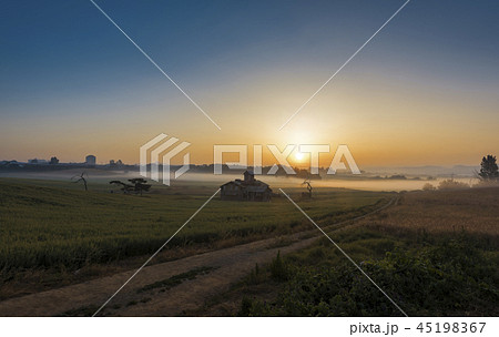 安城牧場 日の出 韓国の写真素材